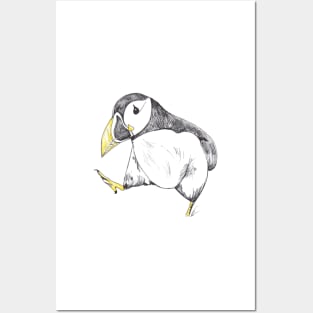 Puffin Posters and Art